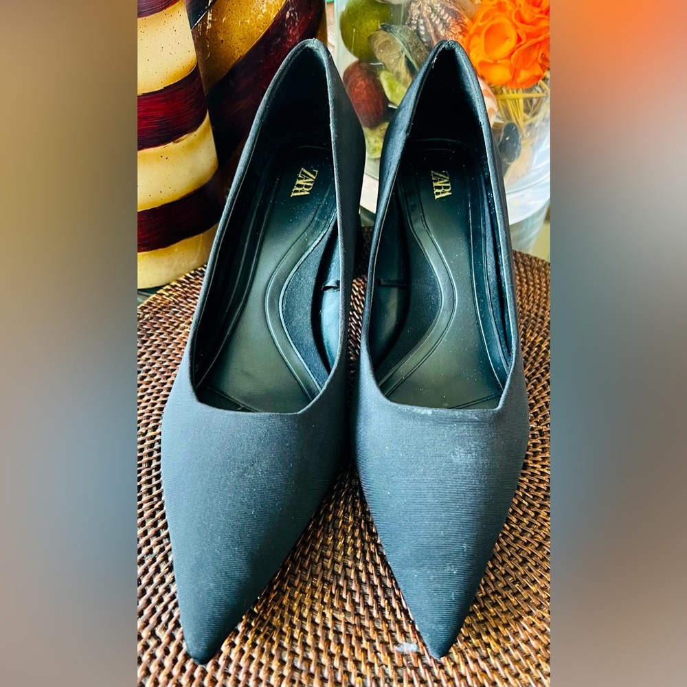 Zara pointy toe pumps